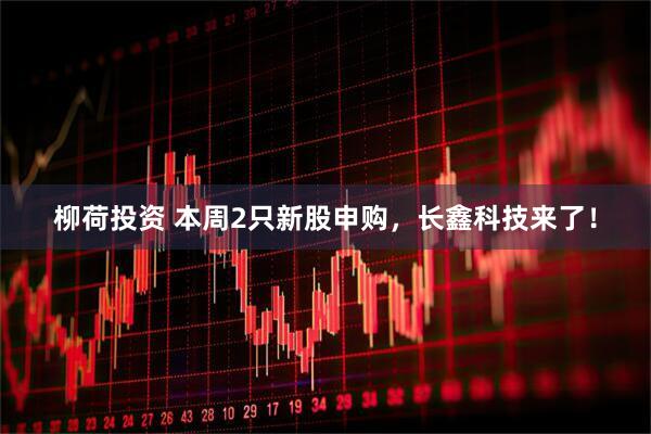 柳荷投资 本周2只新股申购，长鑫科技来了！