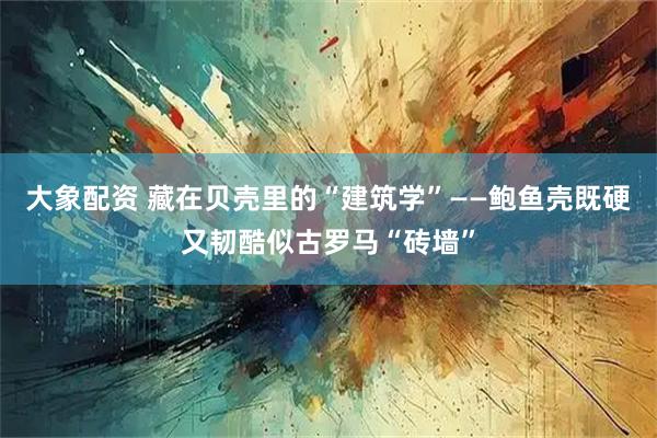 大象配资 藏在贝壳里的“建筑学”——鲍鱼壳既硬又韧酷似古罗马“砖墙”